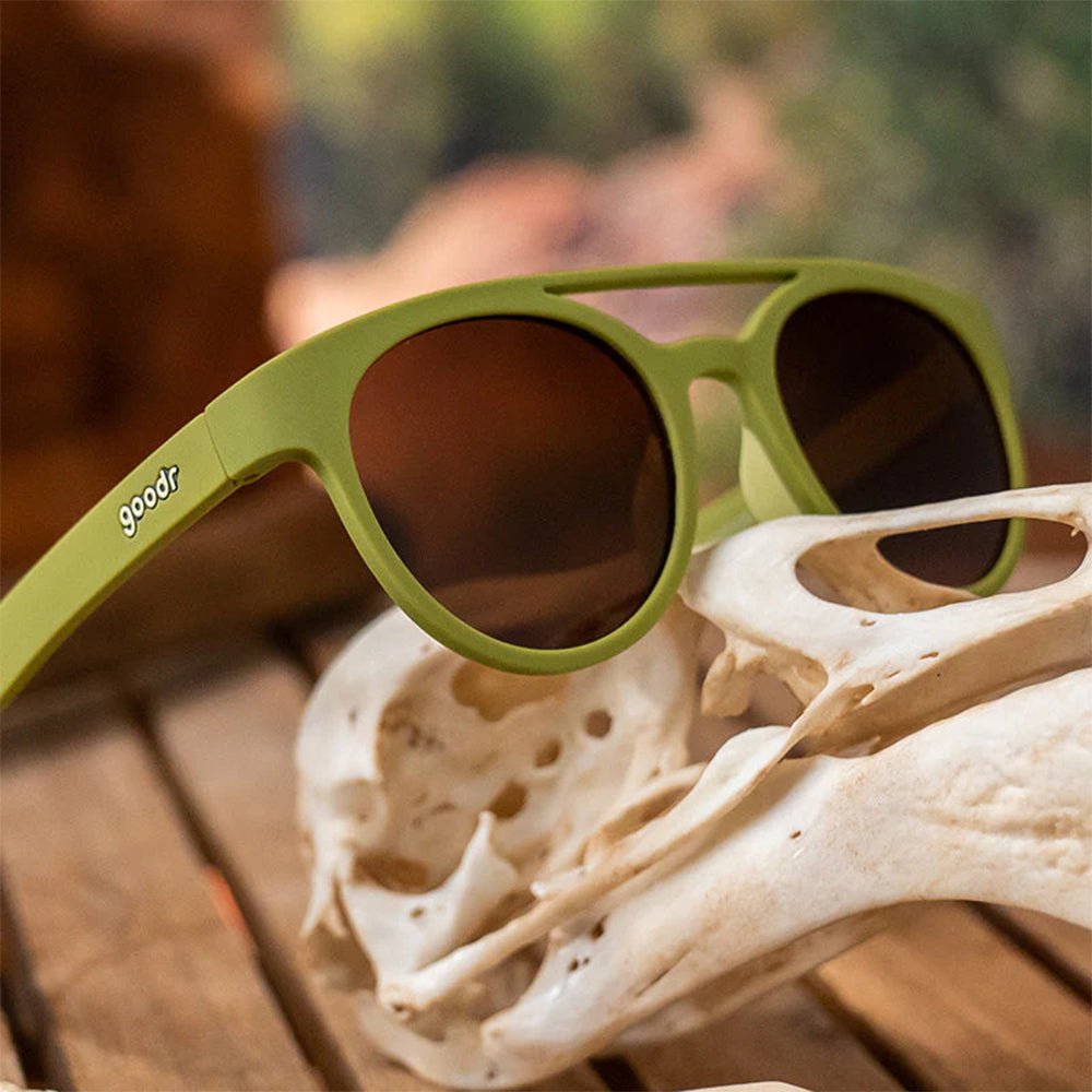 Óculos de Sol Redondo Verde com Lentes Polarizadas Proteção UV400 - Fossil Finding Focals