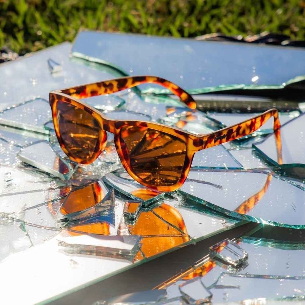Óculos de sol Goodr Brasil modelo Bosley’s Basset Hound Dreams com armação tartaruga e lentes marrons polarizadas.